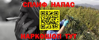 мяу мяу мука Ярославль
