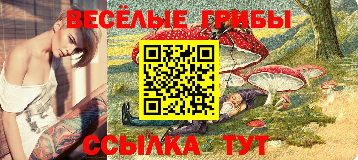 Галлюциногенные грибы ЛСД  Вход с VPN  Галлюциногенные грибы MAGIC MUSHROOMS  купить наркотик  Альметьевск 