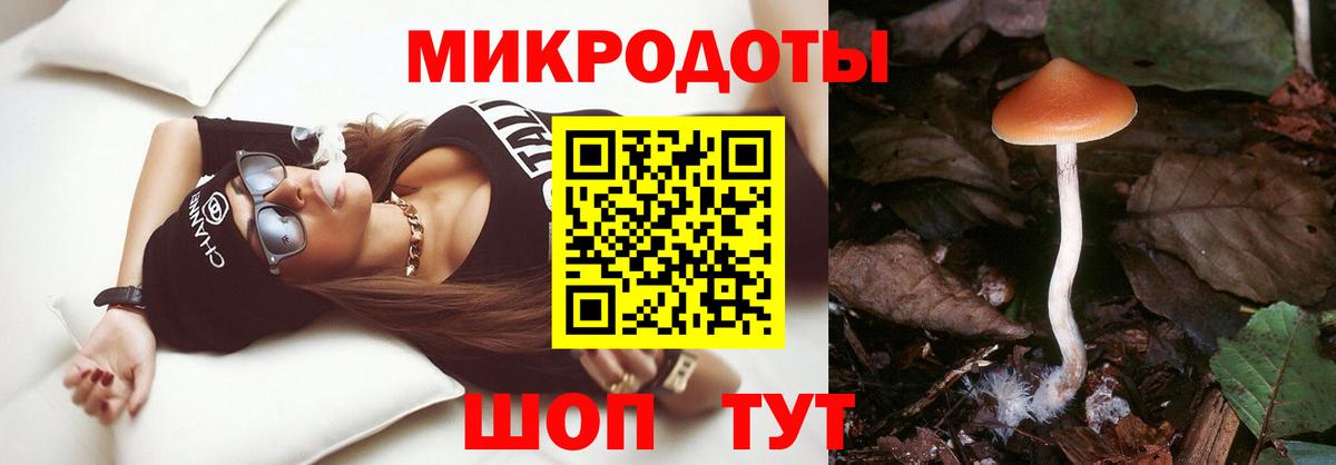 Галлюциногенные грибы Cubensis Альметьевск